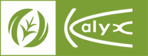 Kaylx